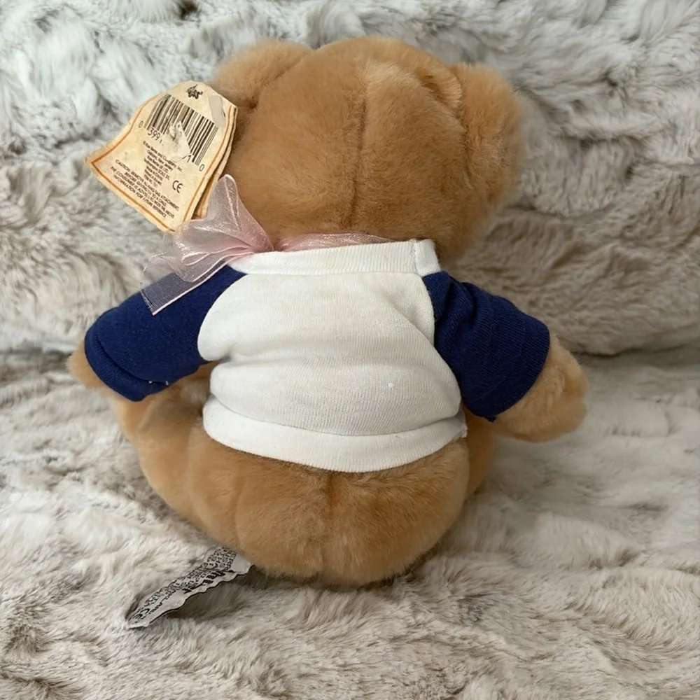 Russ Teddy Bear with Blue Sleeve and Pink Bow. Ski Beech. Vintage